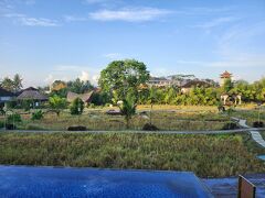 参拝が効いてか、旅行中に傘を使うことはありませんでした。
朝は鳥の鳴き声で目が覚めました。