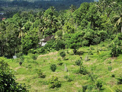 まずは、ブサキ寺院へ。
途中「景色がきれいだからと写真撮りましょう」と休憩。
