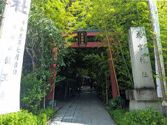 途中、高速SAで朝食をいただいてから、熱海の「來宮（きのみや）神社」へ。

JR伊東線来宮駅から徒歩5分くらいの場所にあります。
車の場合、駐車場はありますが有料ですが、祈祷や授与品で無料になります。条件は↓URLで確認できました
https://kinomiya.or.jp/top/praying/access/

◇来宮神社
https://kinomiya.or.jp/