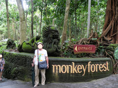 モンキー・フォレストで猿の生態を観察した後、16世紀にウブド王族の住まいとして建てられた「サレン・アグン宮殿」に向かいます。