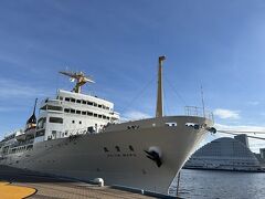 蓮がある新港第一突堤をお散歩します。船の向こうに2年前に泊まったオリエンタルホテルが見えます。

関連旅行記：『ちいかわ「うさぎ号」で行こう♪ まったり神戸 メリケンパークオリエンタルホテルから飛鳥Ⅱを見送る(^_^)/~』
https://4travel.jp/travelogue/11856826