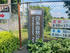 車で移動して、すぐの白糸自然公園へ