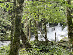 平成の流れ

平成の流れに来た時　10：20
送迎バスの時間が迫っていて速足で雲井の滝まで行きました。
乗り遅れるとトイレも何もない雲井の滝周辺で1時間過ごさないといけません。