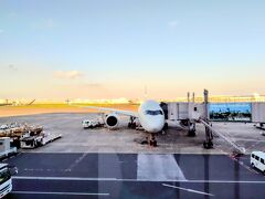 羽田空港は晴天ですが
那覇空港周辺は台風7号が近づいている影響で
雨風が強く、
着陸出来ない場合は
羽田空港に引き返す可能性があると、
何度もアナウンスがありました。
私たちはJAL便ですが
ANAの今日の沖縄便は
ゆうべのうちに全便欠航が決まったそうです


う～ん、
せっかく出発したのだし、
沖縄に降り立ちたい。。


大丈夫かな、、
さすがにドキドキしてきました>⁠.⁠<


