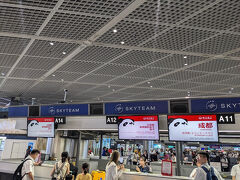 出発2時間半前集合でしたが、3時間前から添乗員さんがいるというので3時間前に行きました。eチケット控えをもらってそのままチェックインカウンターへ、すでに長蛇の列で30分ほど並びました。