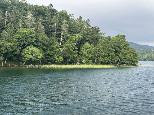 これが一番おおきい大島