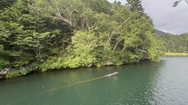 周囲は手つかずの原生林