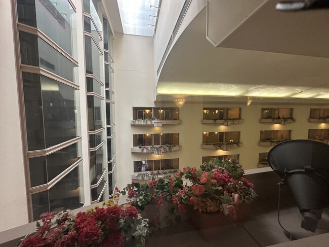 宿泊階からのパティオ