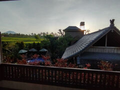 １月25日（土）、旅の5日目の朝です。

7：00、鮮やかな緑色のライスフィールドの向こうに朝日が昇ります。