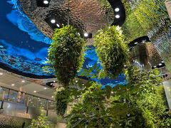 シンガポールに到着です。
さすがガーデンアイランドシンガポール
緑豊かです