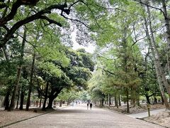 奈良公園に入りました。