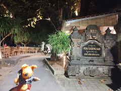 夜の散歩
星はたくさん見えるものの、天の川は見えず。