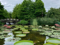 清々しい気持ちになるね。