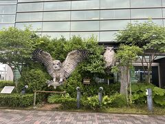 釧路空港（たんちょう釧路空港）