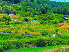 高松盛夏19  豊島b  〈碧い空〉辺り　　　45/　　42