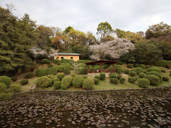 駐輪場へ向かう途中、
池を埋めつくすハスの葉と、美しい庭園。
ベンチに腰かけ見入る人が大勢いました。
私も座りた～い。
でも、空いているベンチがひとつもない。
これは、さっさと帰れと言うことか。