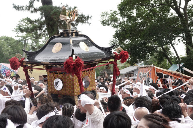 焼津神社・荒祭2025 ちょっと見に行った【初です】』焼津(静岡県