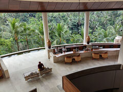 スパの次は Four Seasons Resort at Sayanへ。
ウブドに来る度にいつも立ち寄ります。3回目？かな
ここはなんというか、とても良い「気」が流れてる感じがして好きな場所の一つです。
聞こえてくるのは、ガムランの音と椰子の木が風に揺れる音だけ。
