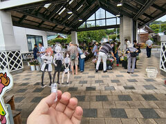 高速をおりて山の方へ、途中で寄った道の駅では花市をやってました