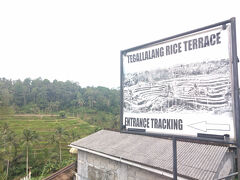 この日は曇天で、あまり写真撮影には向きませんでしたが、ライステラスは一応行きました。思っていたよりも広くなかったです…。