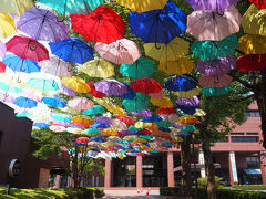 この時季、館林市役所の所にある城町食堂前には
アンブレラスカイが見られるので、ちょっと寄ってみました
