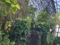 熱帯植物園です。