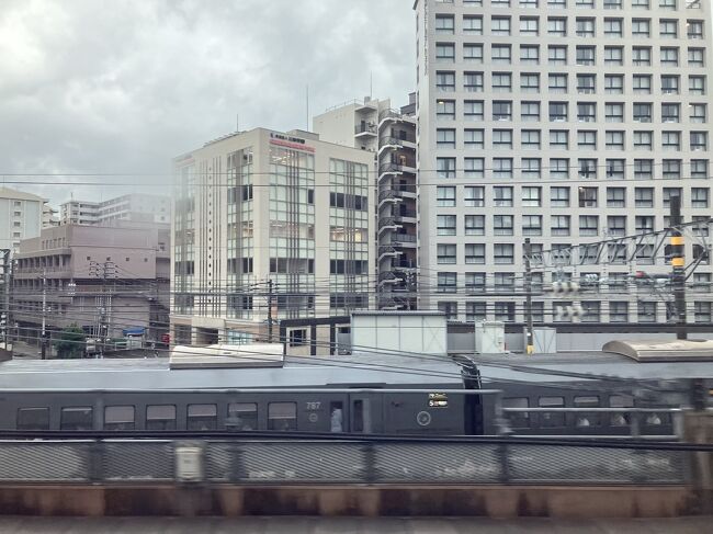 と思ったら、（多分）リレーかもめが出ていきました。<br />あいかわらず、鹿児島本線の大部分は止まっています。