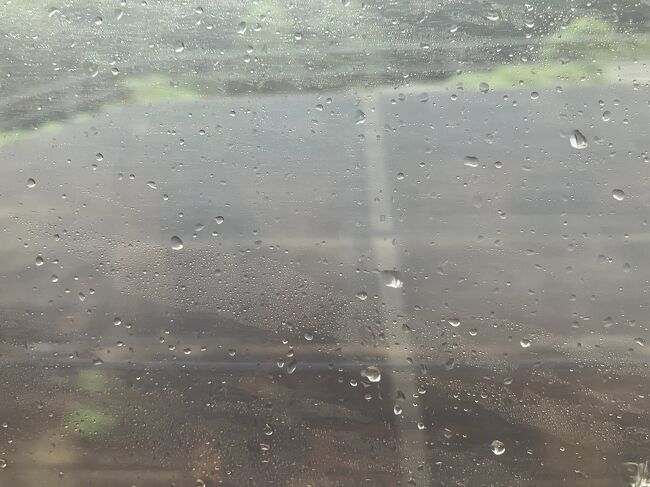 新大牟田<br />雨が打ちつけてきます。<br />「この電車は終点熊本駅に到着後、そのまま鹿児島中央行きになることが決まりました。」という放送がありました。熊本ー鹿児島中央間も運転再開。パチパチ