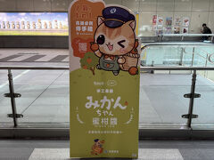 そうそう、蜜柑醤ね