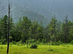 田代湿原。
晴れていたら、すばらしい景色なんだが。