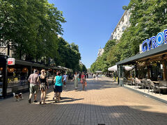 昨晩夕食をとったソフィアのメインストリート、
ビトシャ大通りへやって来ました。
ここで自分用のバラコスメ、会社の同僚へのばらまき土産、
父親とケアマネさんへのお土産と最後なので散財。