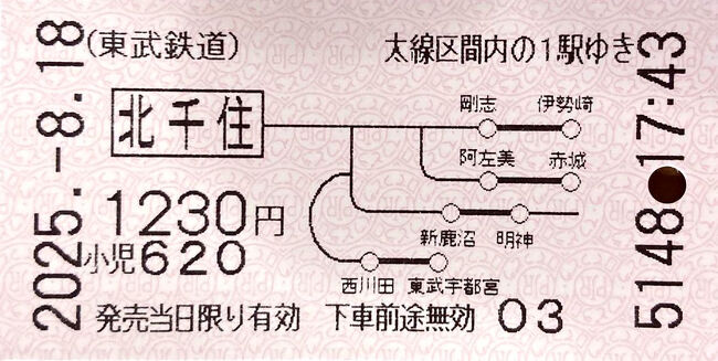 　↑↑　これが地図式です。（現在『日本で手に入る唯一の』地図式切符）
