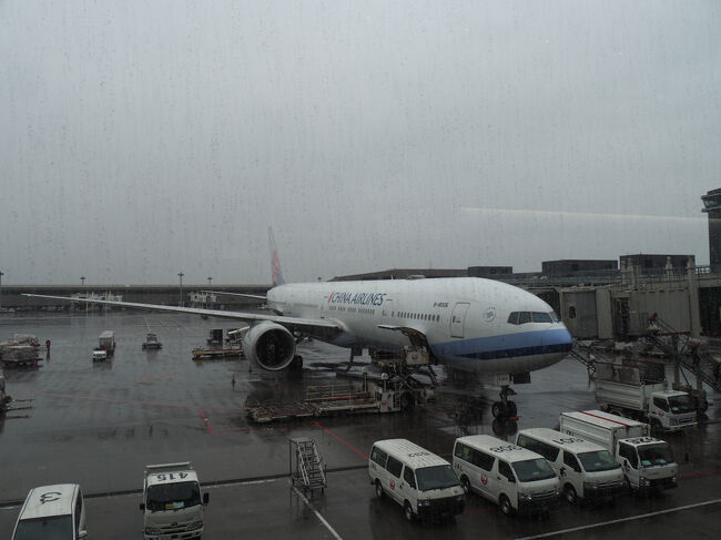 今回お世話になる飛行機