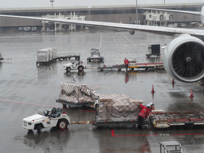 機材の到着遅れで搭乗が少し遅くなったので、外を眺めながら待ちます。<br />職員さんたちの作業車の運転さばきがすごくて見入ってました。