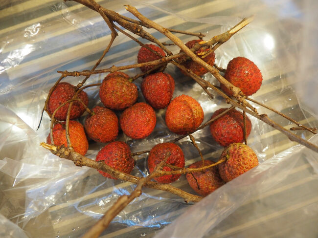 朝市で買った生ライチ