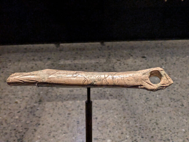 旧石器時代の骨角器。有機物はなかなか残らないので貴重なもの。