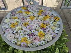 美しい花手水に写真スポットが用意されてます