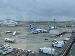 まだ時間はあるけど、
ホテルに荷物を取りに行き、そのまま空港へ。
空港が近いって便利ですね。