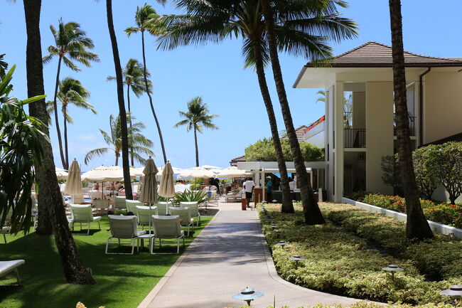 さて、お部屋からプールエリアへ降りてきました