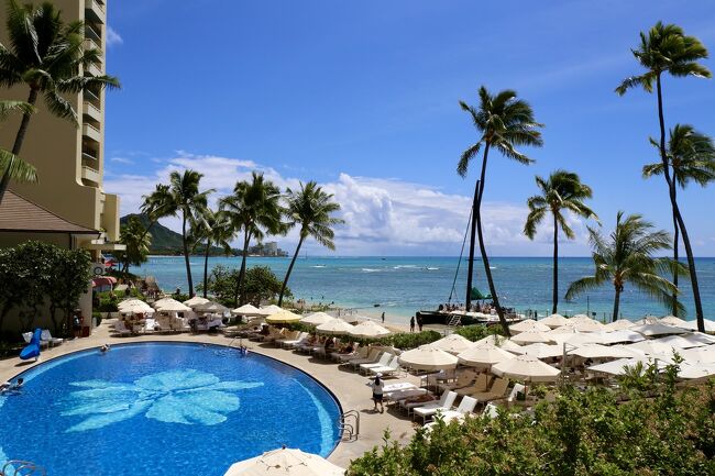 ちなみにハウスウィズアウトアキーそばの階段を2階に上がると、よりカトレアのプールが綺麗に見えます