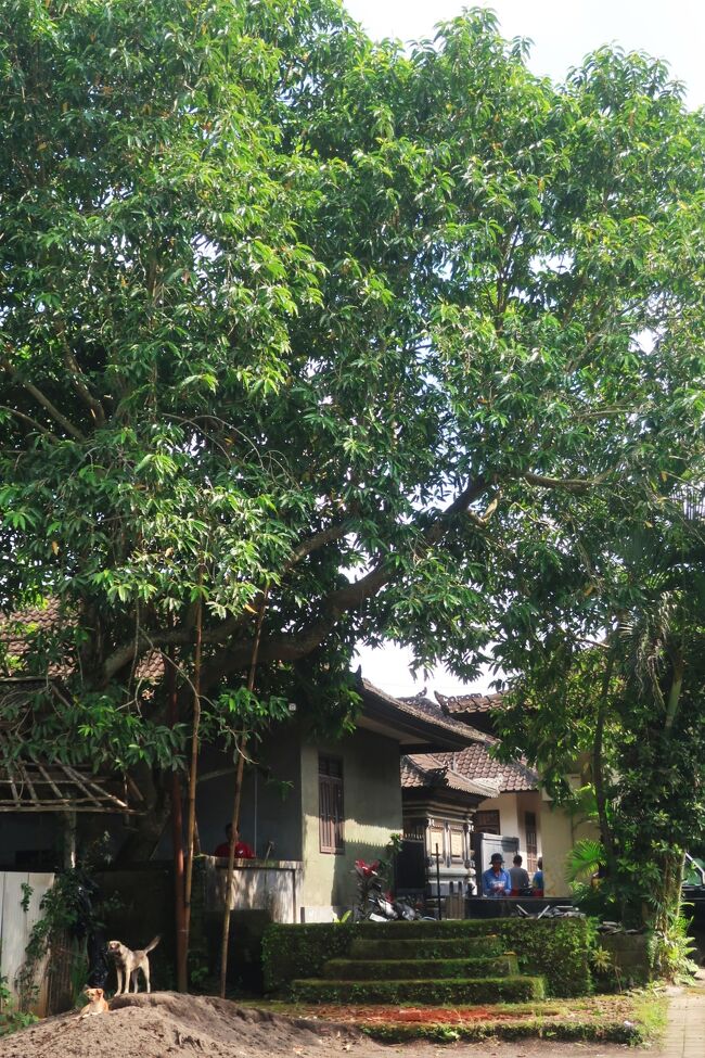 9：55<br />「テガリンガ・クリフ寺院」に着きました<br /><br />素敵な村だな～<br />外国人の入場料はひとり30k（≒270円）<br />https://maps.app.goo.gl/Kcj1YXJ4qWbBDKgy6