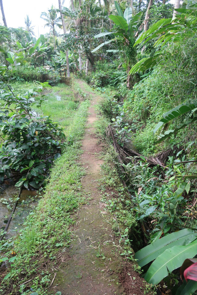 るるる～<br /><br />ごきげんで歩いていると、途中の川で「大の方」をなさっている方があり、一同絶句しました