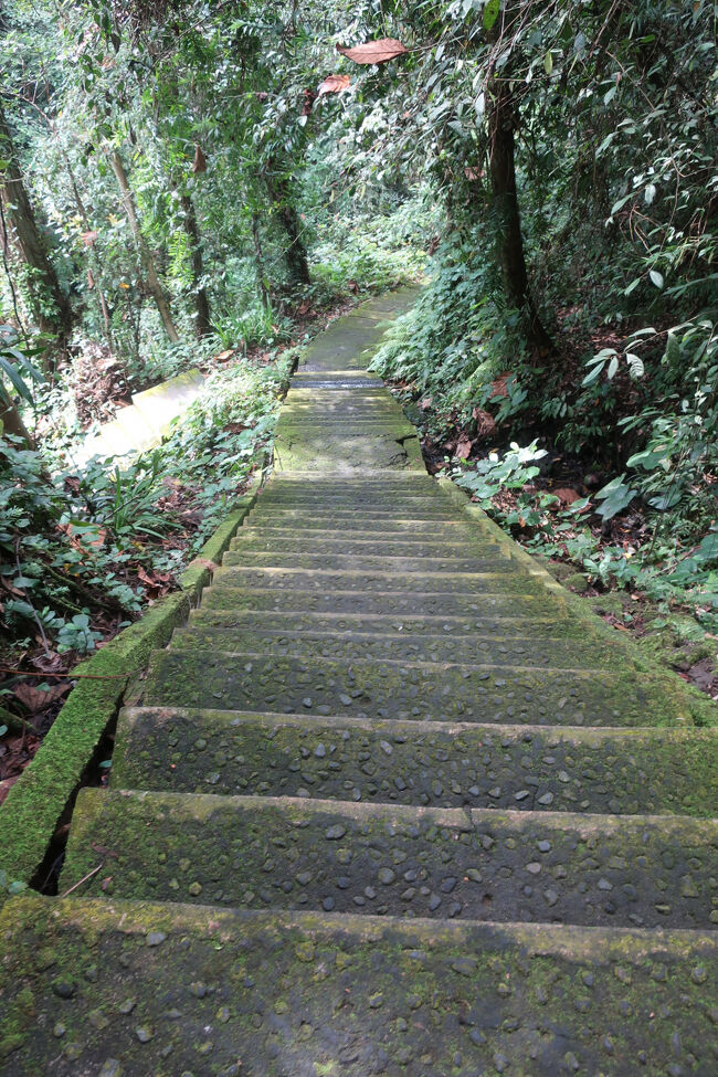 見なかったことにして、また下ります<br /><br />凛々しい後ろ姿でした<br />（腰から下は川の中）<br />日本だって「厠」の語源は「川屋」だそうだから…<br />いや何であれ、もう忘れたいです<br /><br />しかし、どこまで降りるんだろ<br />ここは健脚向きかも