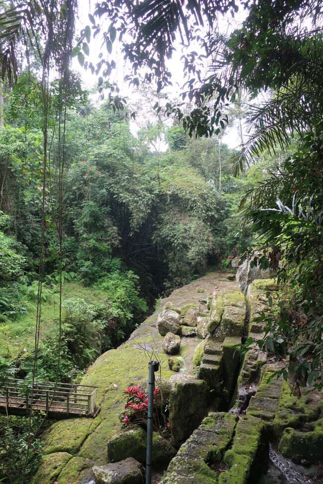 あ！<br />着いた！<br /><br />もうこの時点でだいぶ興奮していました