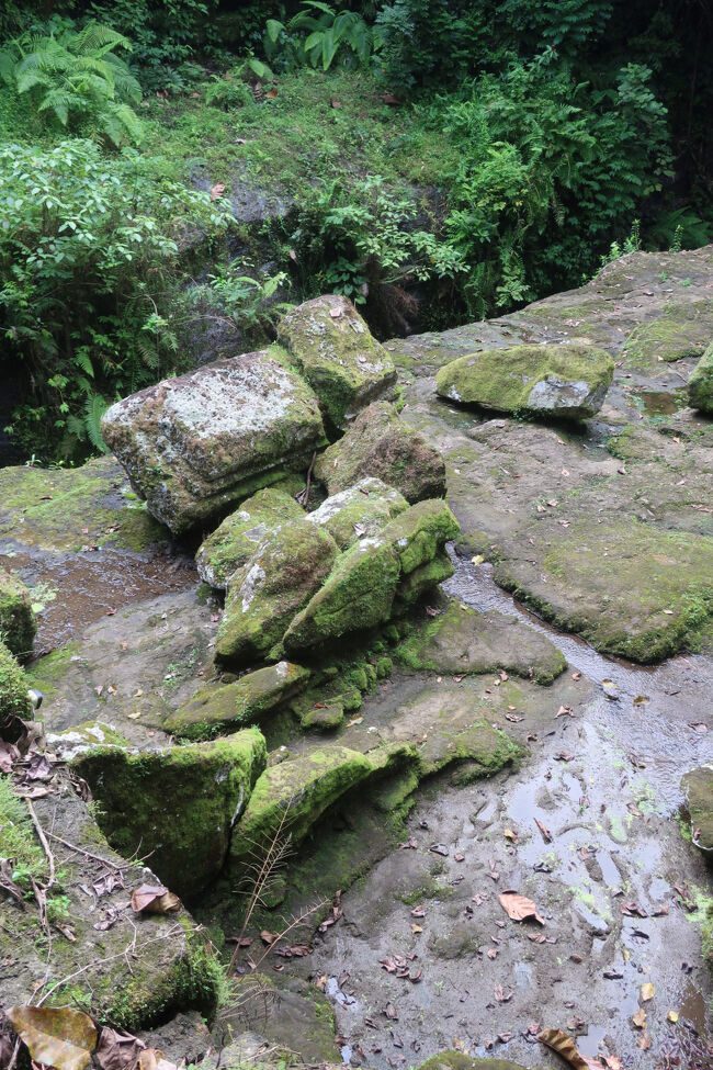 どうやって降りたらいいんだい、と道を探します