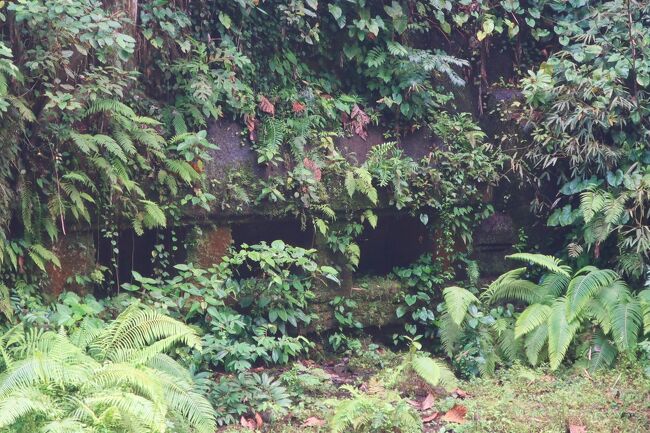 あ、向こう側にも穴がある<br />自然に取り込まれて美しいなー