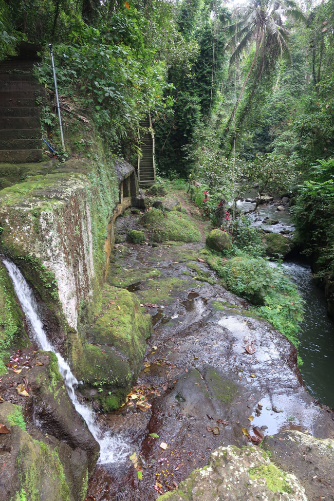 たぶんここだろう、と降りましたが、途中ジャンプしなければならない箇所があり、着地点にも苔が生えています。濡れてるし。<br /><br />両親はここで骨折でもするといけないから、と諦めました