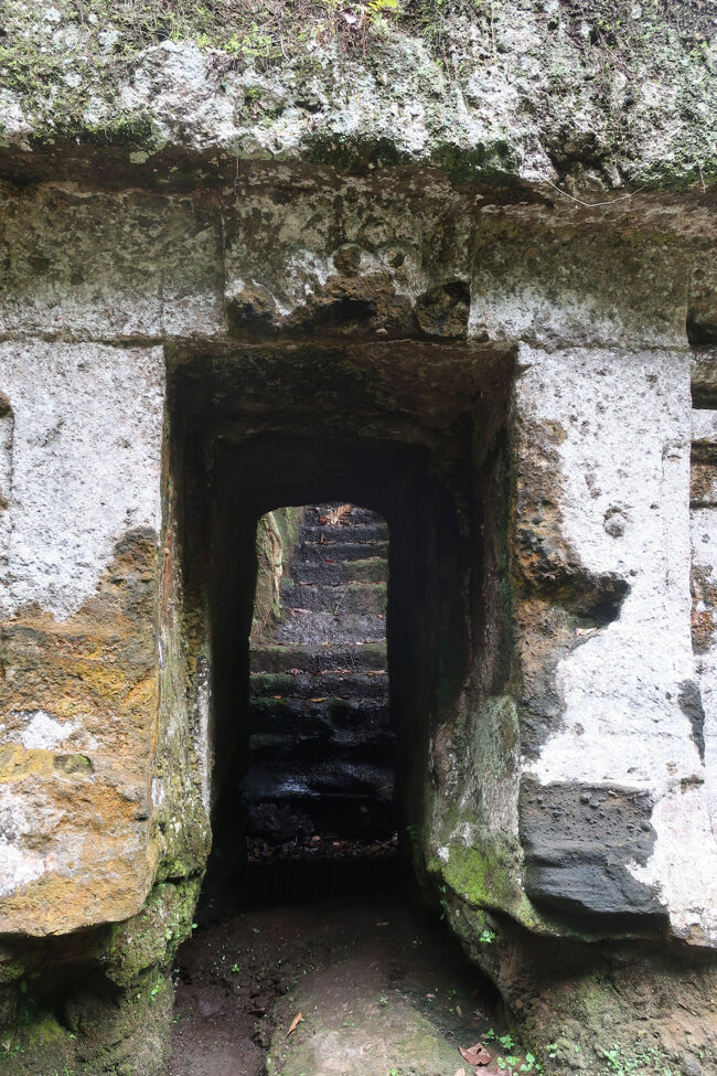 こういうのは漏れなく入ります