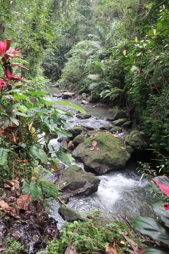 遺跡の横には川が流れ、遺跡と川がセットであることに意味がある様子