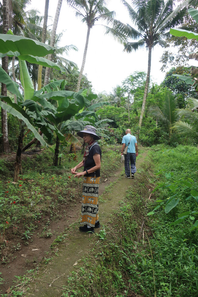 母が、昔の人が爪を染めるのに使った花（ホウセンカ？）の解説をしてくれているところ